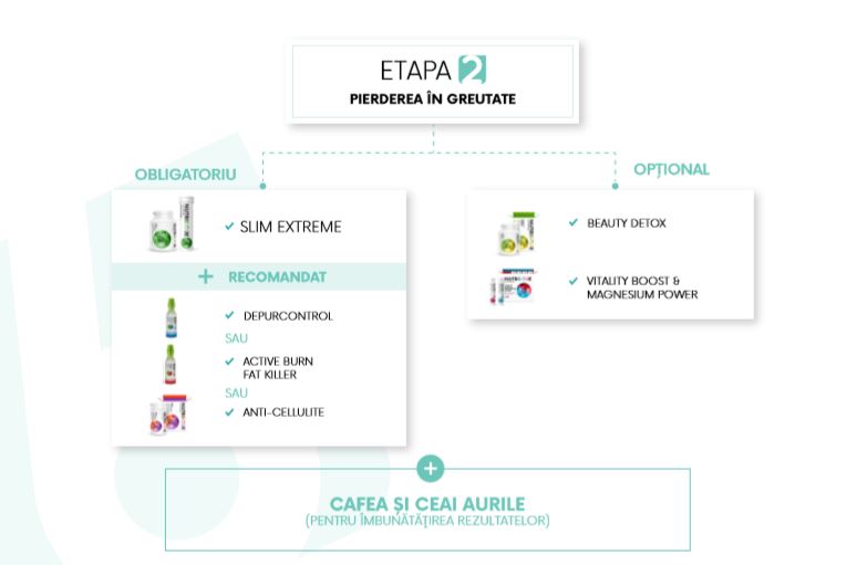 etapa2