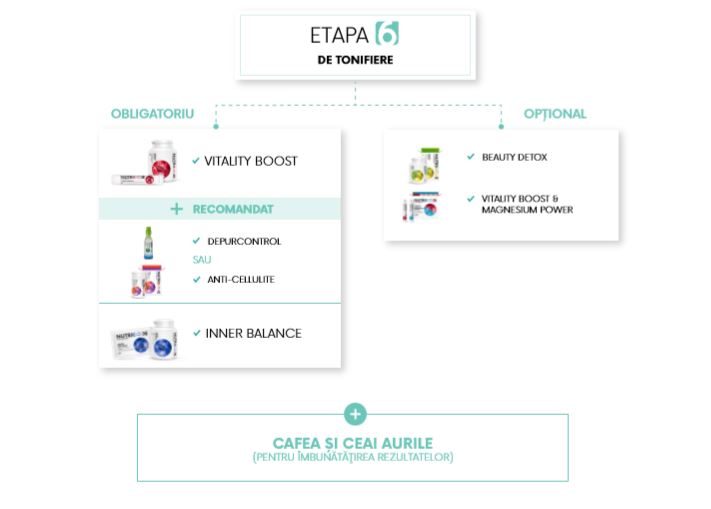 etapa6